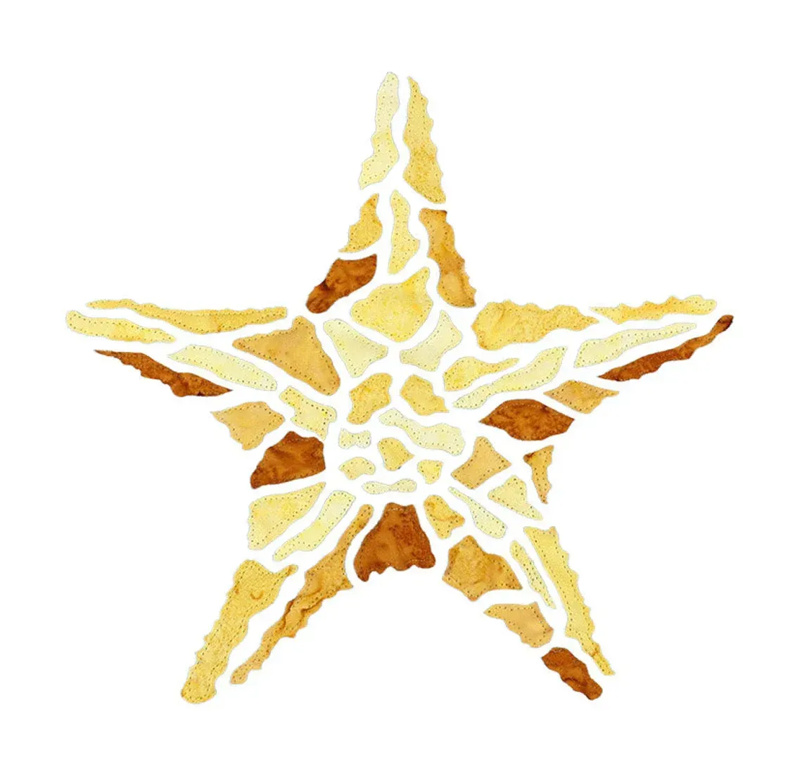 Starfish - Sand