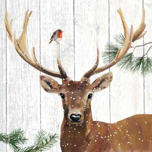 Robin &amp; Deer , Size: Beverage Serviette