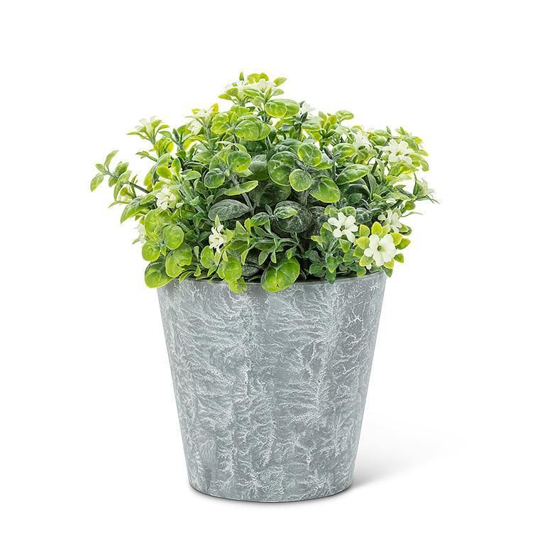 White Flowering Plant Pot - 6&quot;