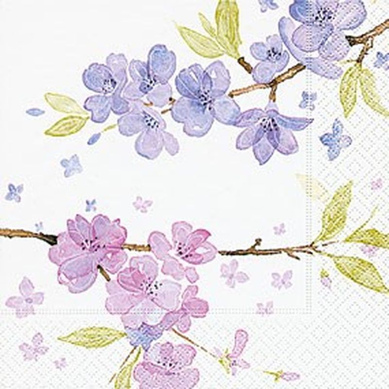 Tender Blossoms
