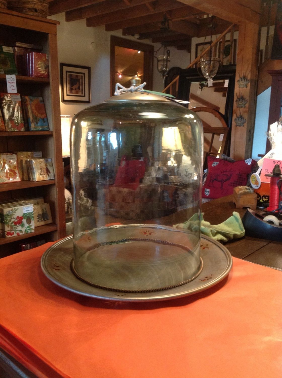 Dome Cloche Display