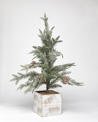 Pinecone Potted Fir Tree - 