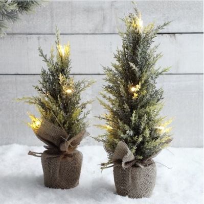 Frosted Fir LED Tree - 