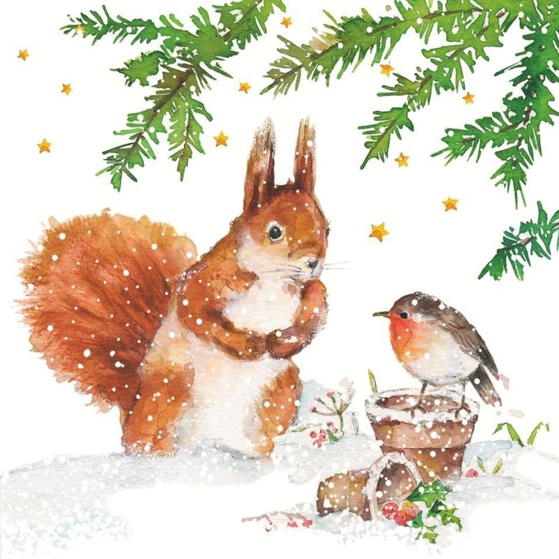 Squirrel &amp; Robin 
