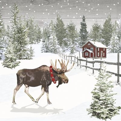 Wintry Moose 