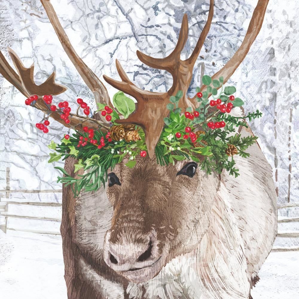 Blitzen 