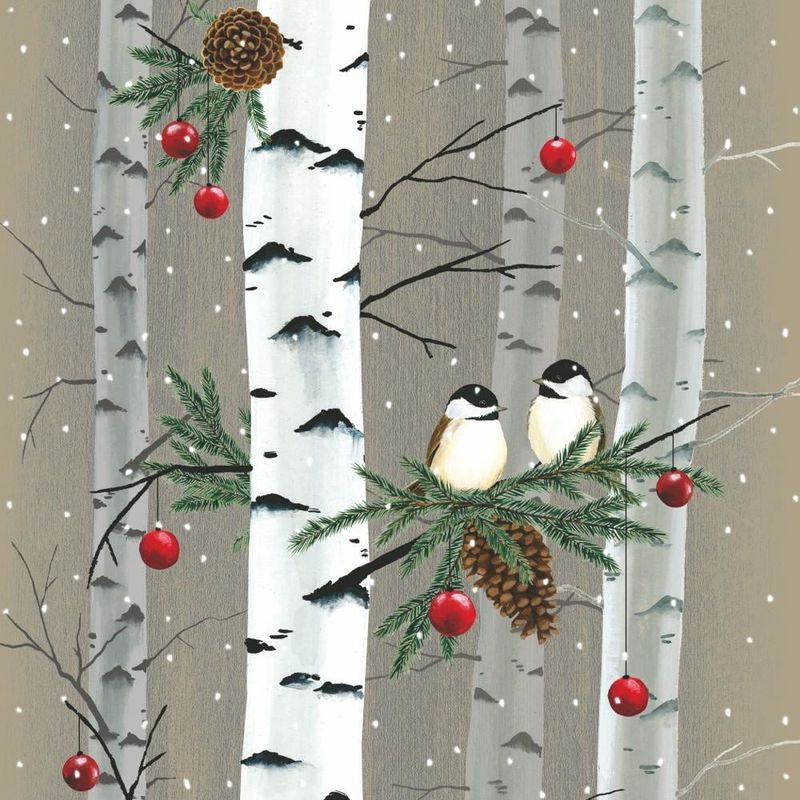 Birch &amp; Birds 