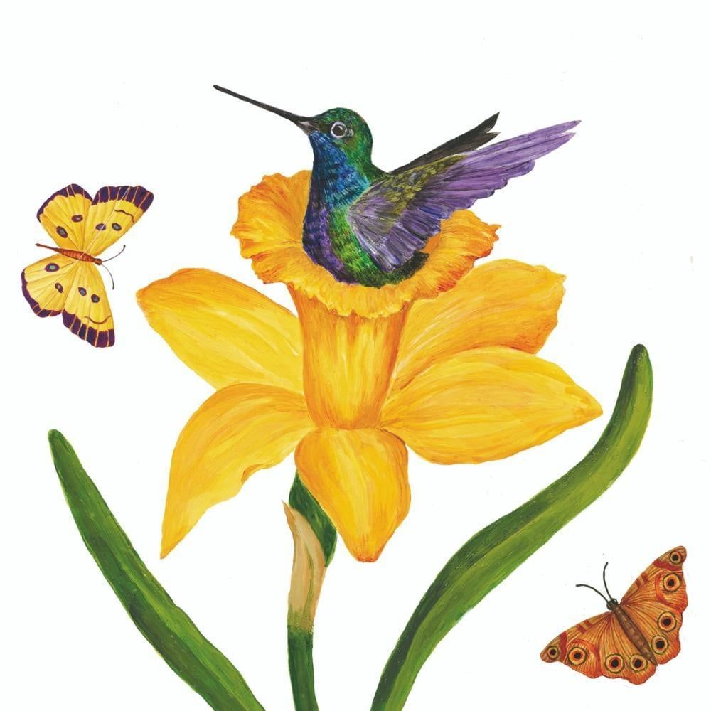 Daffodil Nest - 