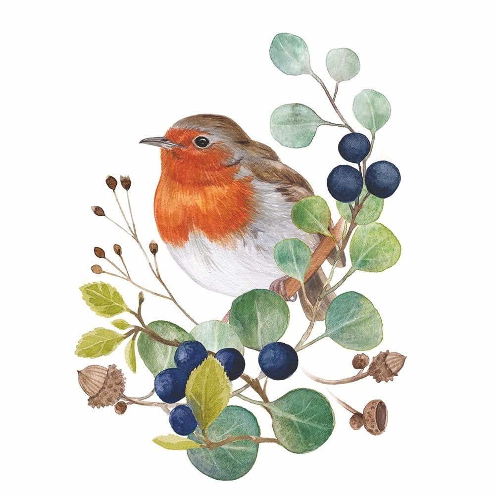 Oiseau Sur Branche - 