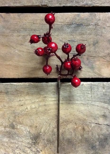Outdoor Berry Pick (Tri)