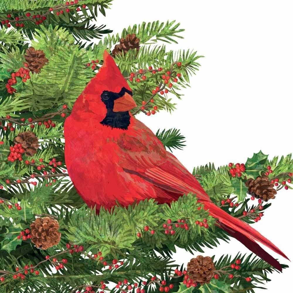 Yuletide Cardinal, White - Bev (PPD)