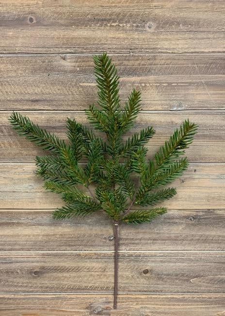 Cypress Spray (Tri)