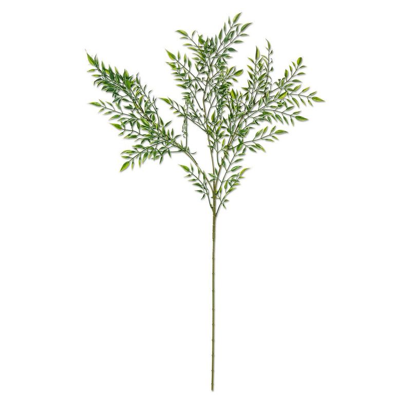 Bamboo Branch Stem