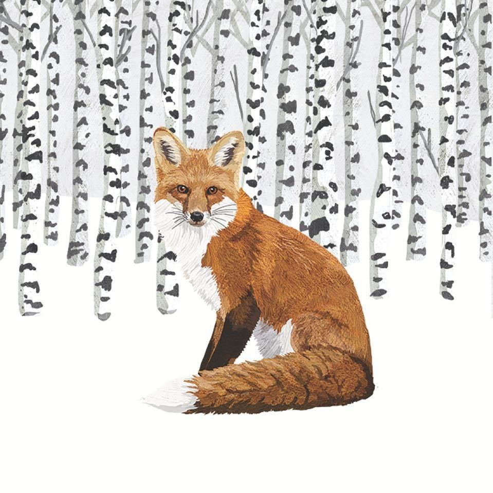 Wilderness Fox - Bev (PPD)