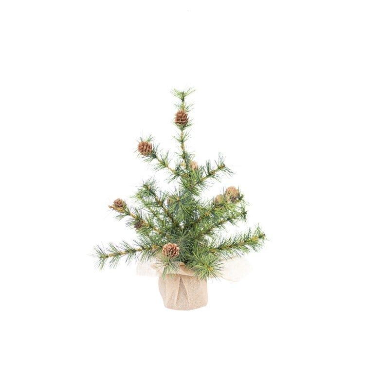 Pinecone Fir Tree - , Size: Small