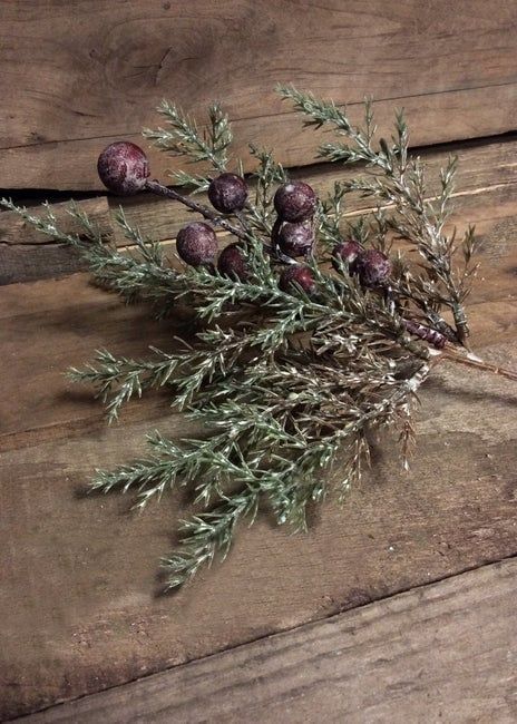 Juniper &amp; Berries Pick (Tri)