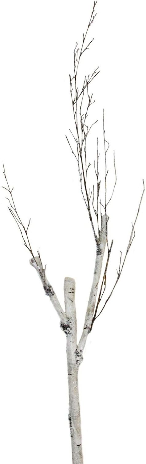 Birch Twig Branch (Tri)