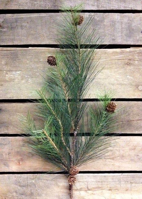 Pine Spray (Tri)