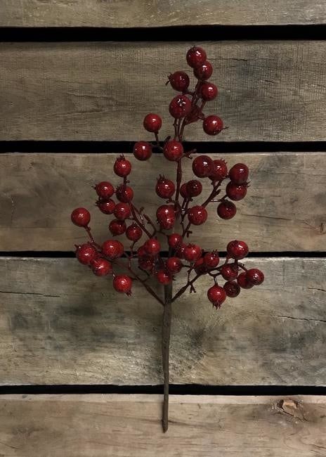 Red Outdoor Berry Spray (Tri)