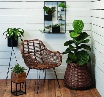 Rattan &amp; Iron Arm Chair