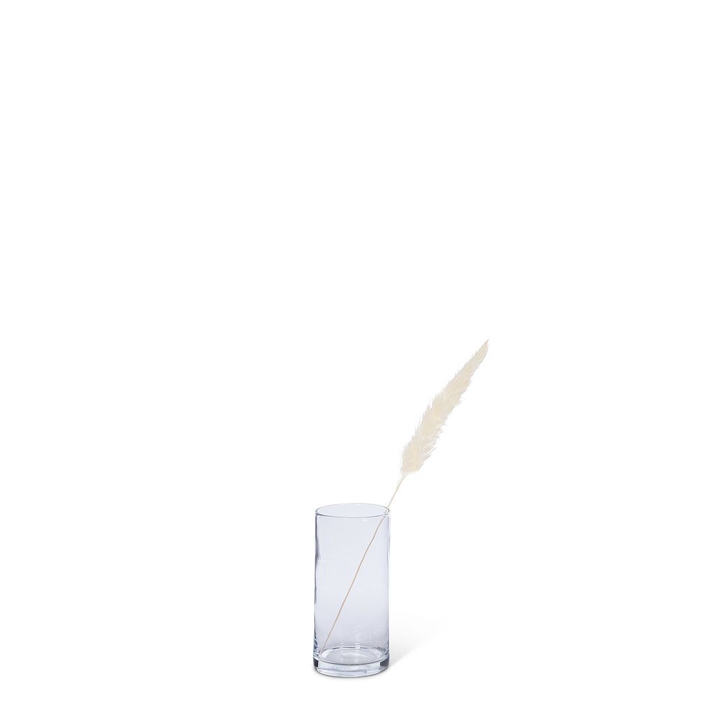 White Pampas Grass - Small