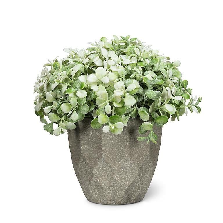 White Teardrop Leaf Plant Pot (Abb)