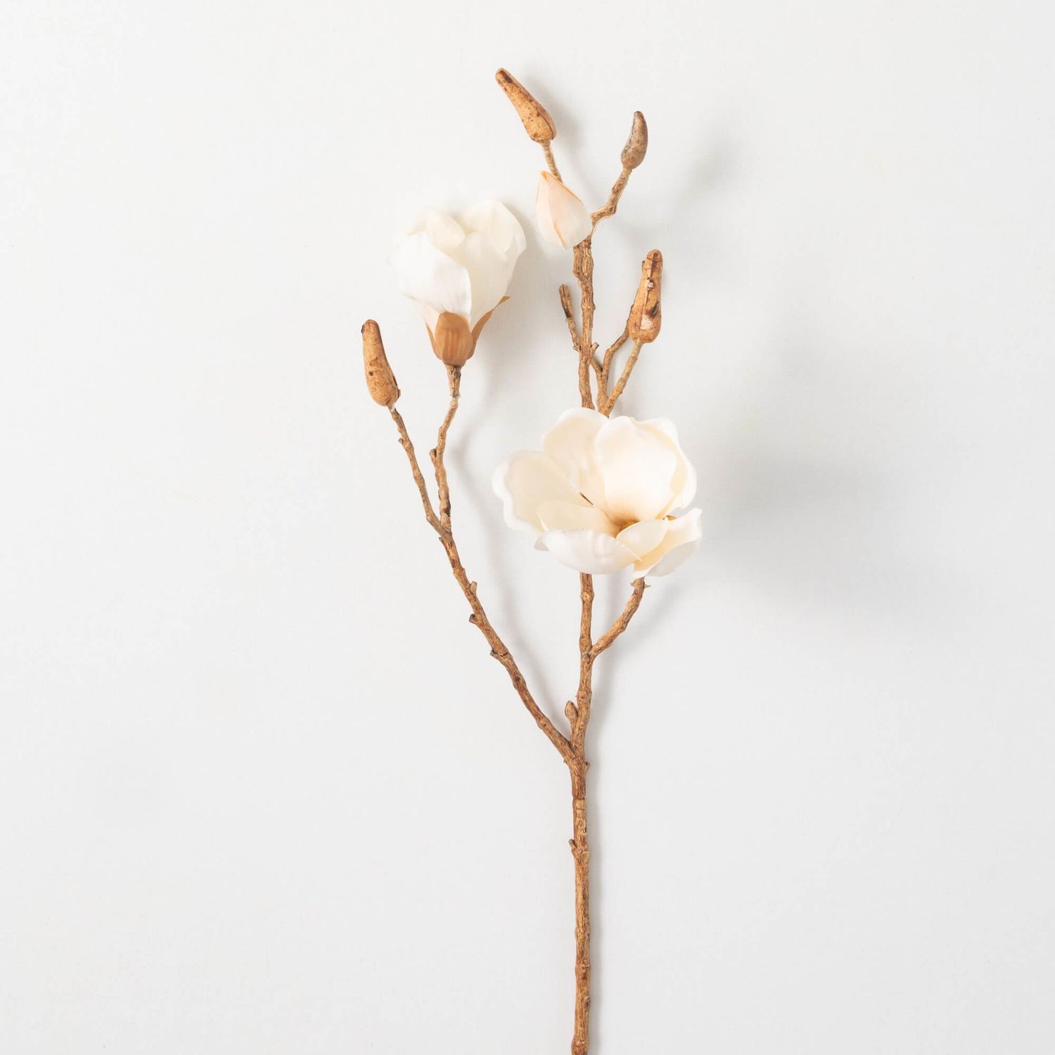 Magnolia Blooming Branch - Cream