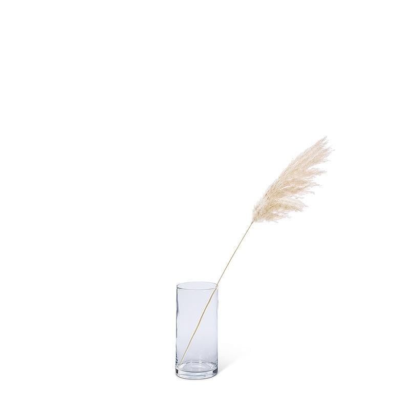 White Pampas Grass - Medium