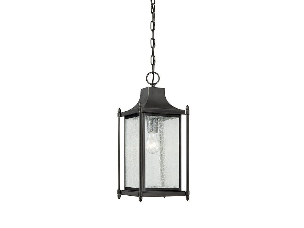 Dunnmore 1 LT Outdoor Hanging Lantern - Black