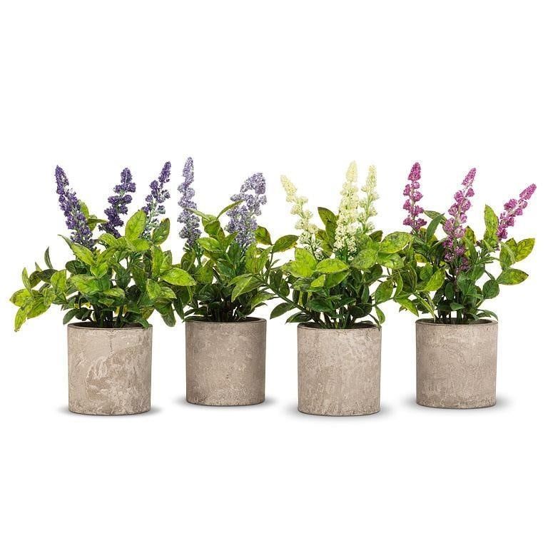 Spiky Flowering Plant Pot - 8