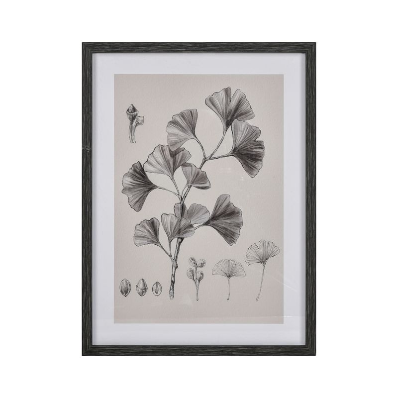 Gingko Botanical Framed Print