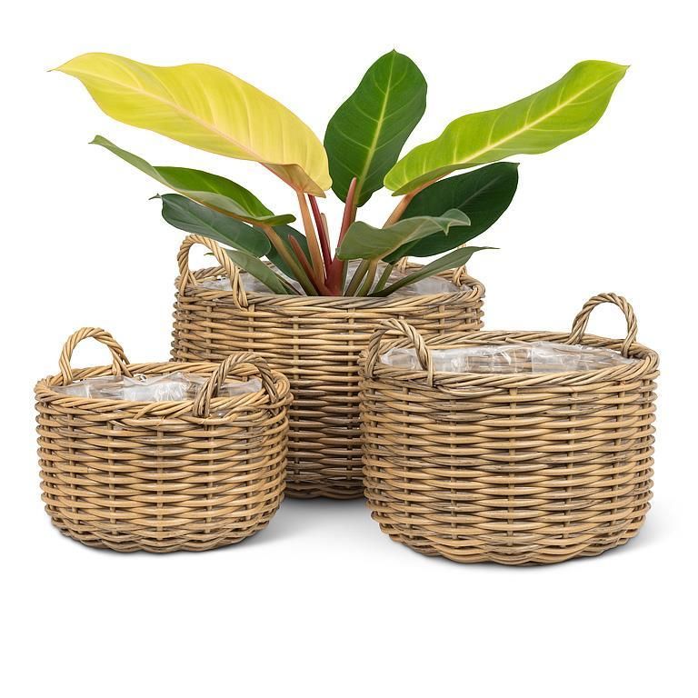 Baskets w/Handles