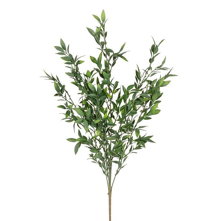 Long Leafy Green Stem