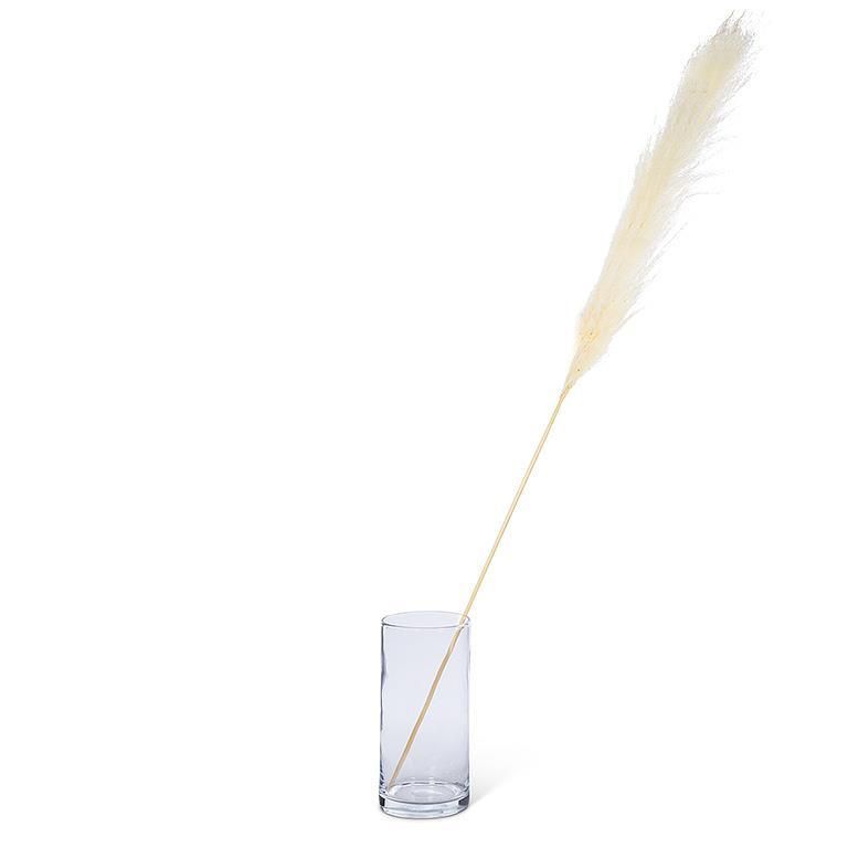White Pampas Grass - XL