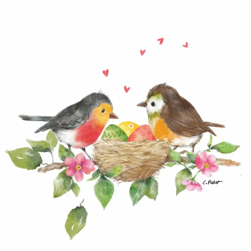 Bird&#39;s Nest -