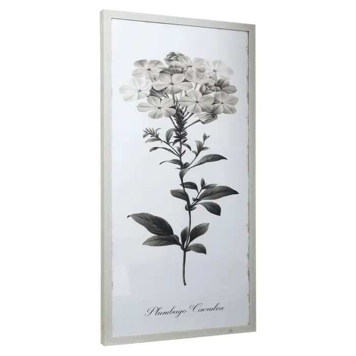 Vintage Botanical Floral Framed Print II