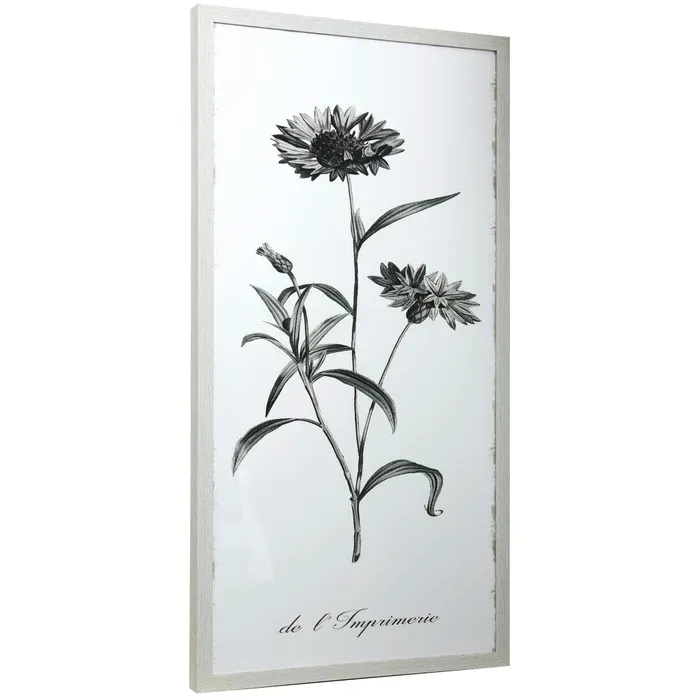 Vintage Botanical Floral Framed Print I