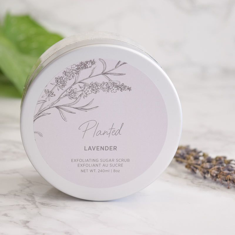 Body Scrub - Lavender