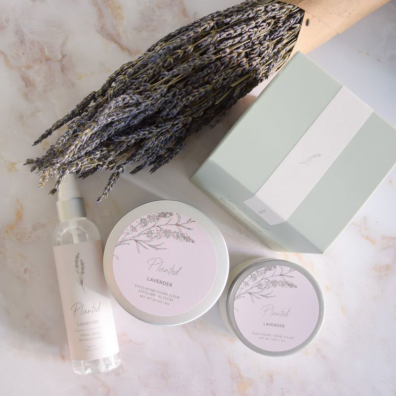 Gift Spa Set - French Lavender