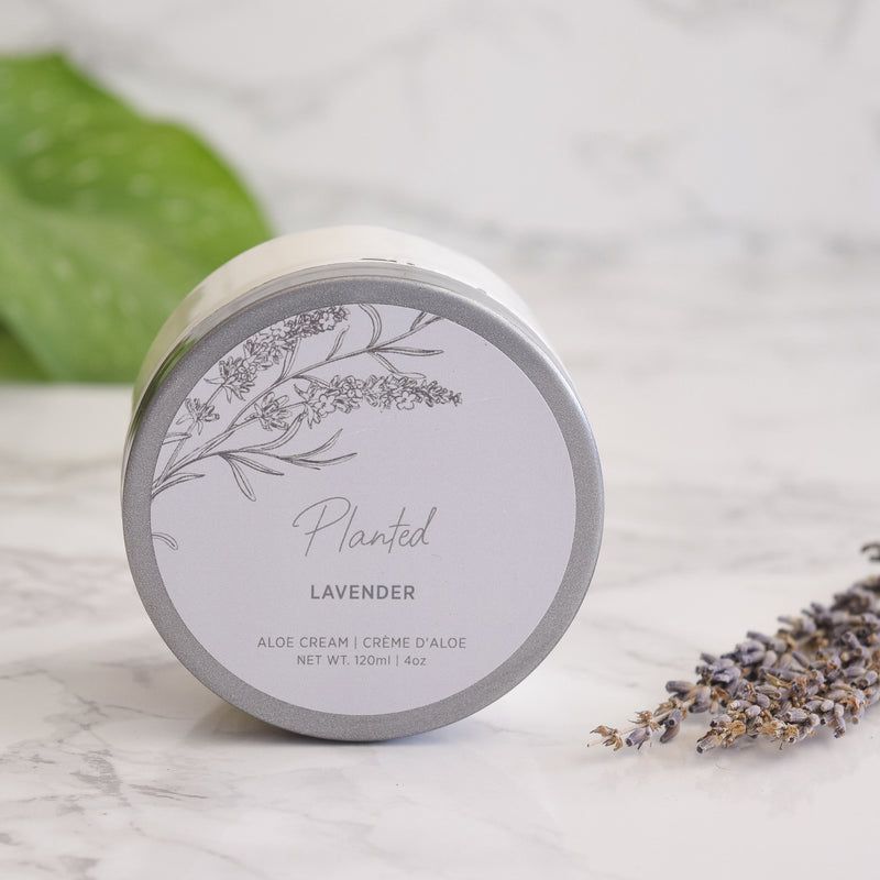 Body Butter - Lavender