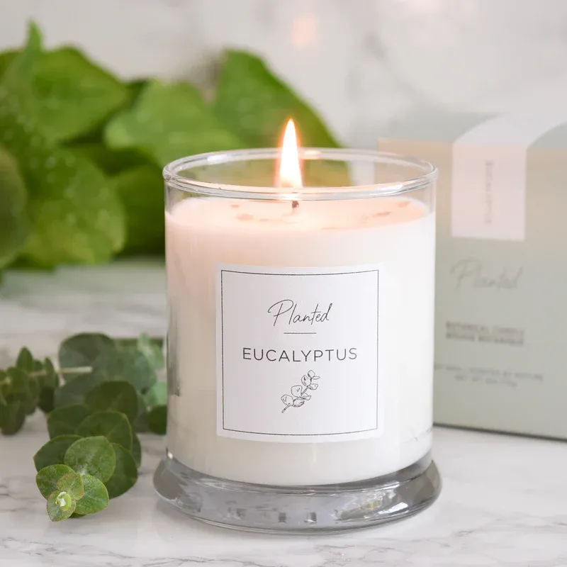 6 oz Classic Candle -, Color: Eucalyptus