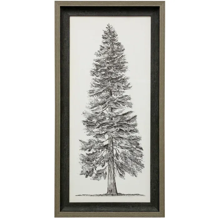 Pacific NorthWest Tree Sketch -