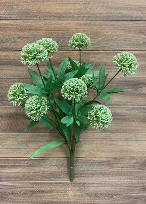 Cream Allium Bush - 20&quot;