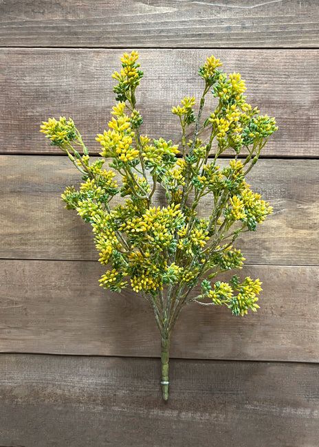 Yellow Seeded Eucalyptus - 17&quot;