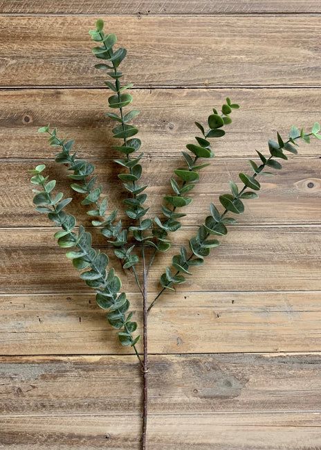 Green Eucalyptus Spray - 28&quot;