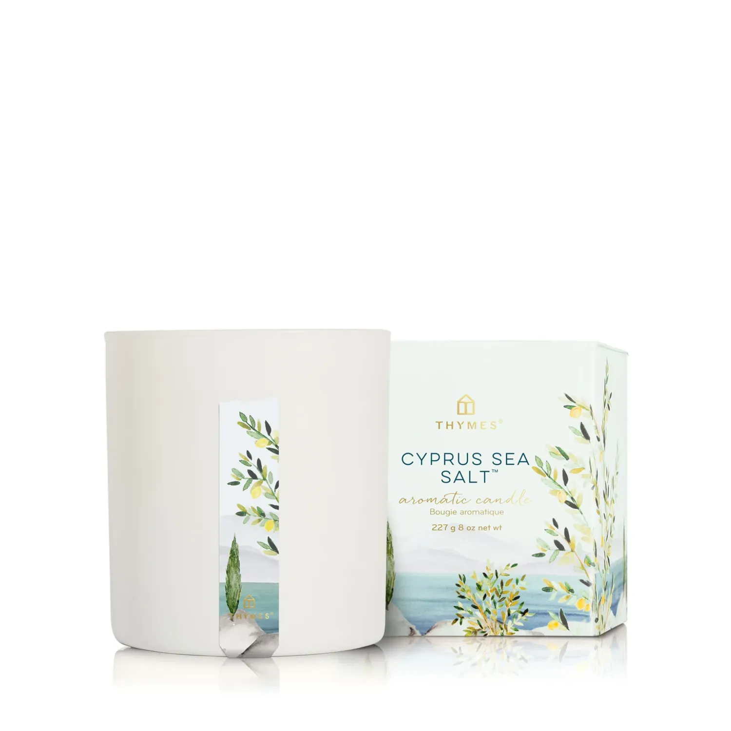 Cypress Sea Salt - Poured Candle (8 oz)
