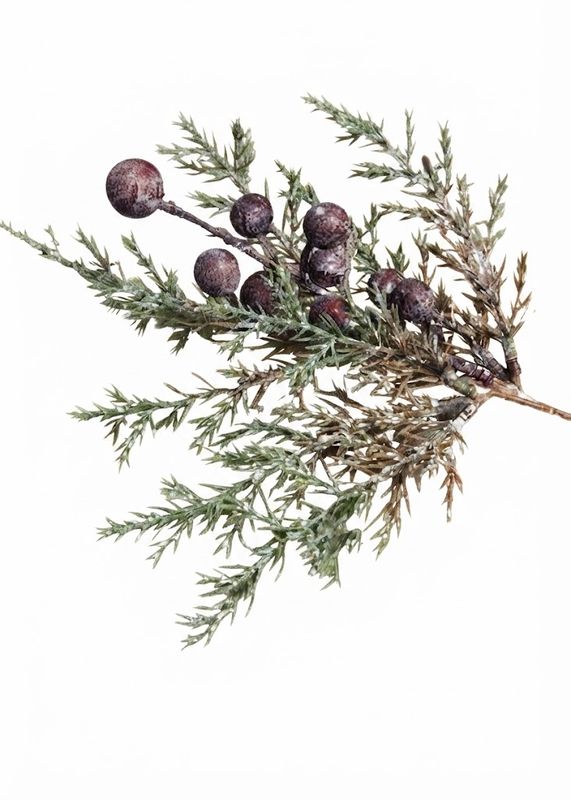Juniper &amp; Berries Pick (Tri)