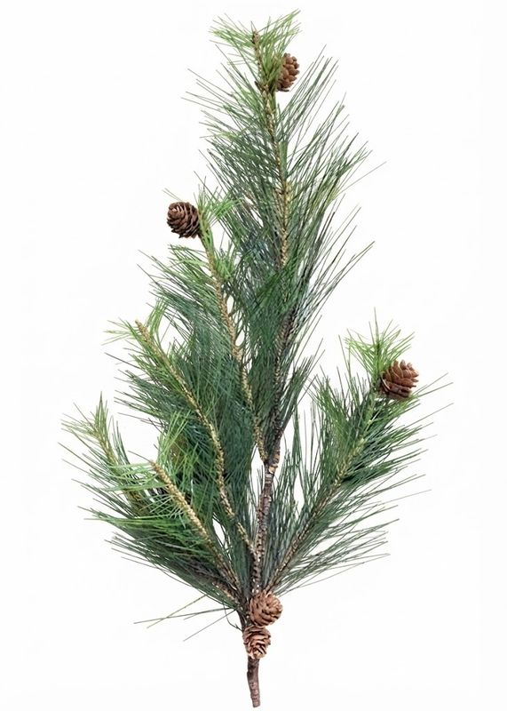 Pine Spray (Tri)