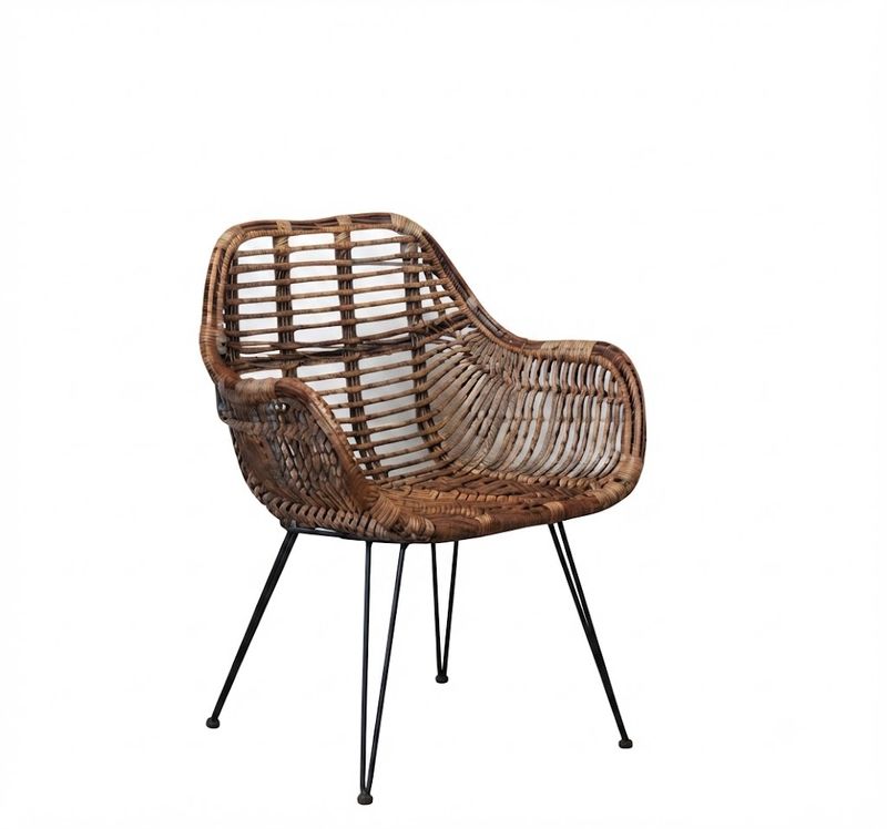 Rattan &amp; Iron Arm Chair