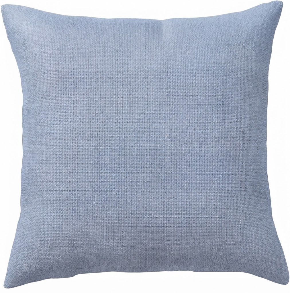 21" Throw Pillow - Kenny Zinc